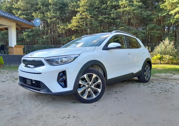 Kia Stonic cena 49900 przebieg: 72000, rok produkcji 2019 z Grudziądz małe 232